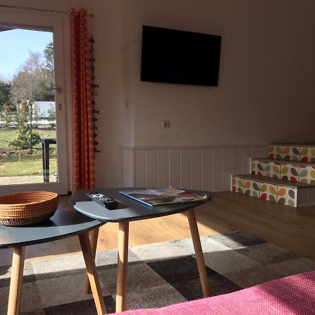 Modernes Ferienhaus Willingen Willingen  Eksteriør billede